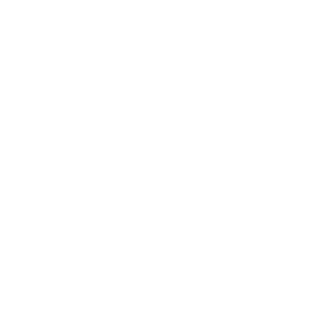 Pulse White_fiber Business Internet