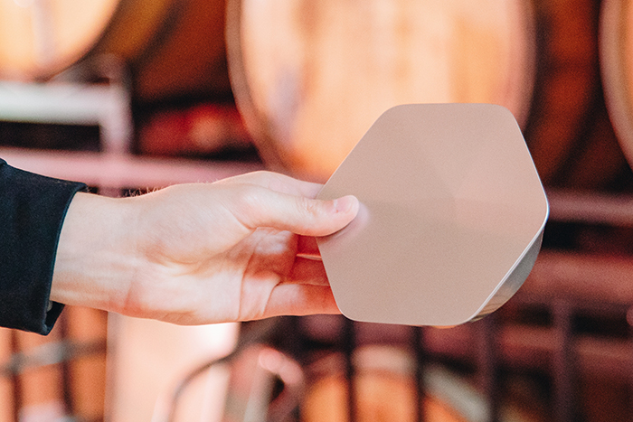 WorkPass - SuperPod A hand holds a SuperPod