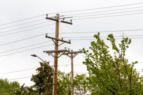 Power lines with next to trees
